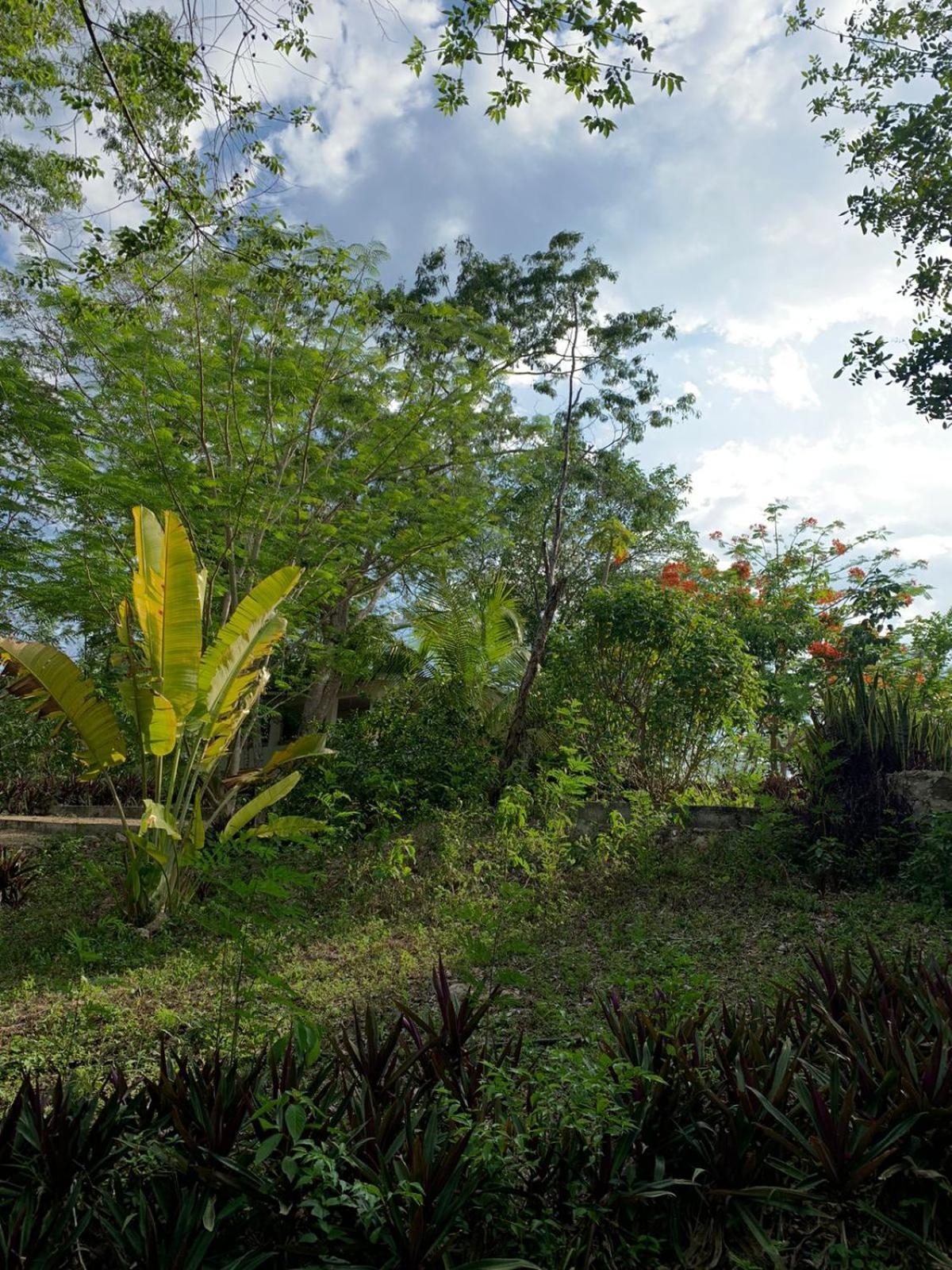 Chichén-Itzá El Encanto - Hotel Boutique المظهر الخارجي الصورة